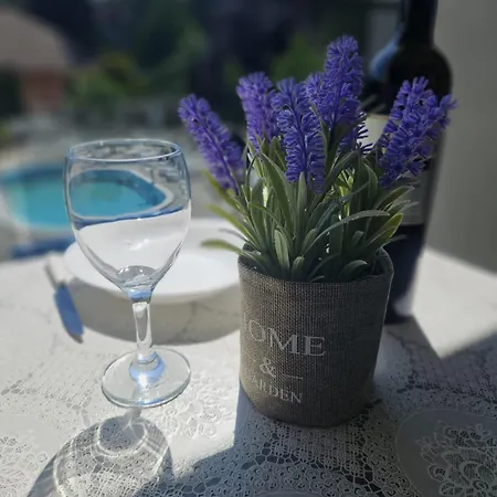 Lila Hedonica Apartament Vrdnik