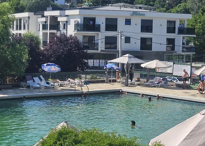 Lila Hedonica * Rednek